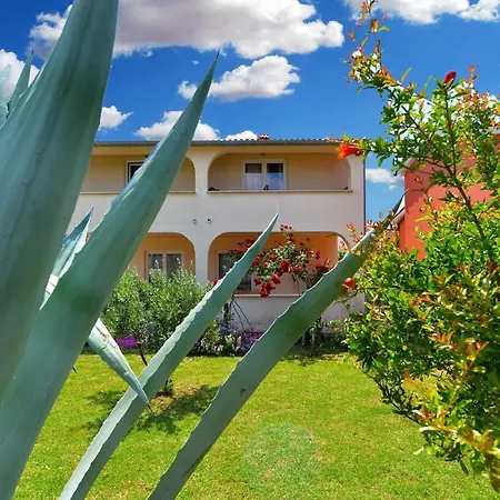 Lejlighed Fuer 3 Personen Ca 35 Qm In Galizana, Istrien Istrische Riviera